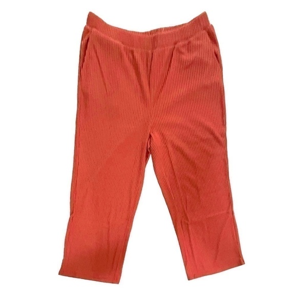 EZ Nina Leonard Ribbed Sweater Knit Pull On Pants Size Large NWT - Picture 4 of 8